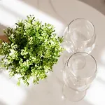 Cozy Bajcsy 31 Апартаменты
