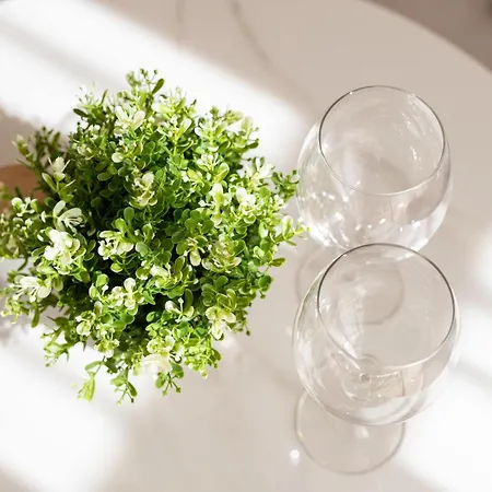 Cozy Bajcsy 31 公寓